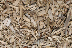 biomass boilers Botwnnog